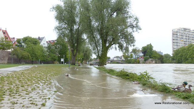 Flooded Streets Near Jacksonville