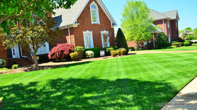 Jacksonville Florida Landscaping Services